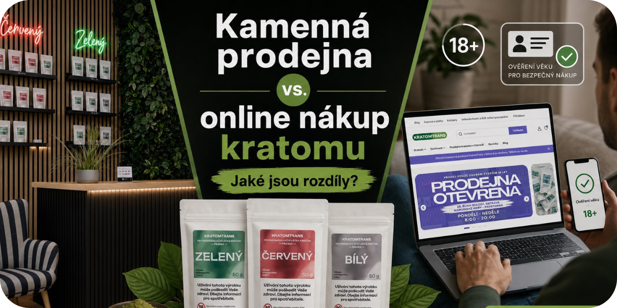 Obrázek článku